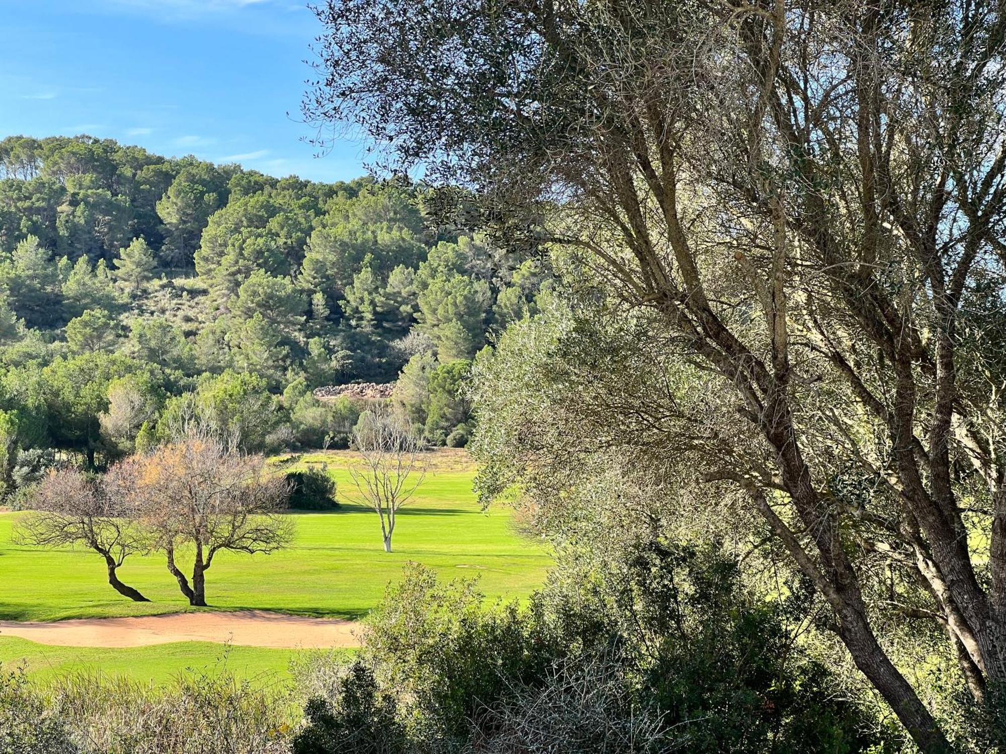 Disfruta del Paraiso Son Parc Esterno foto